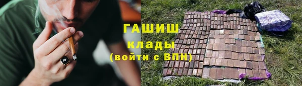 стаф Ессентукская