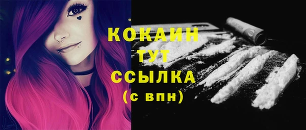 apvp Няндома