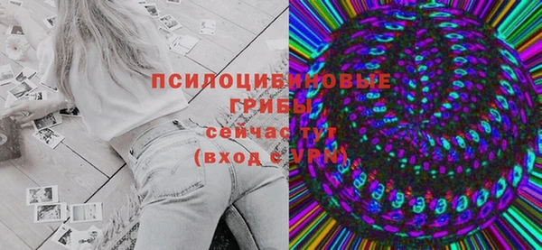 apvp Няндома