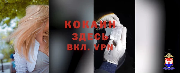 apvp Няндома