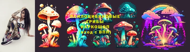 Галлюциногенные грибы Magic Shrooms  mega ТОР  Богданович  как найти наркотики 