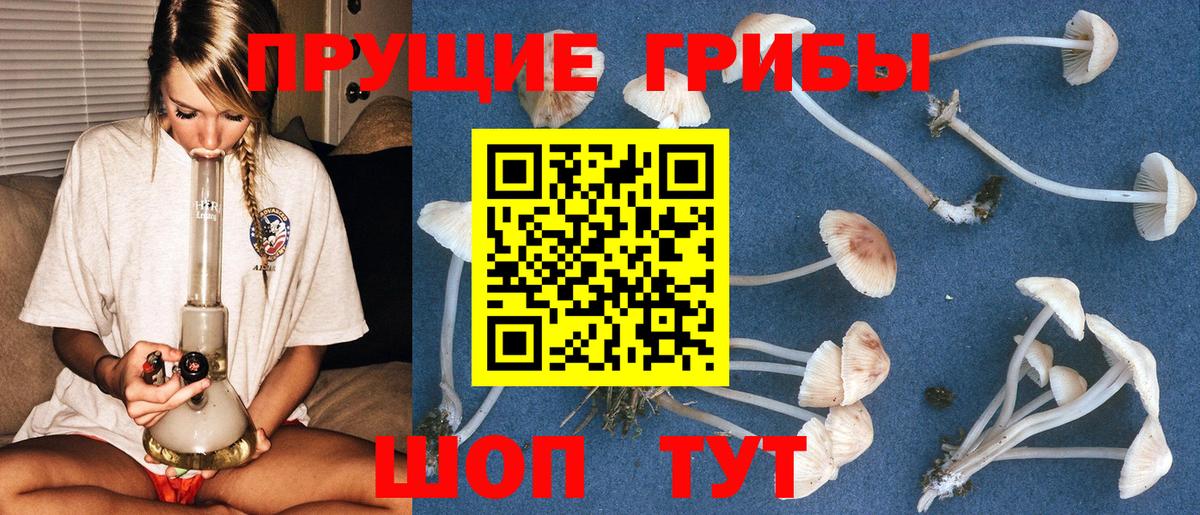 купить наркотик  Галлюциногенные грибы мухоморы  Вход с VPN  Псилоцибиновые грибы Magic Shrooms  Богданович 