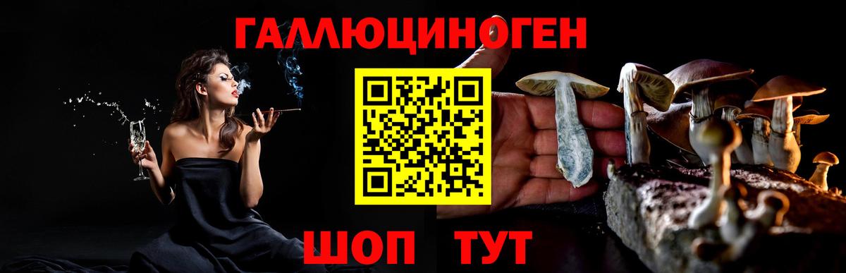 Галлюциногенные грибы прущие грибы Богданович
