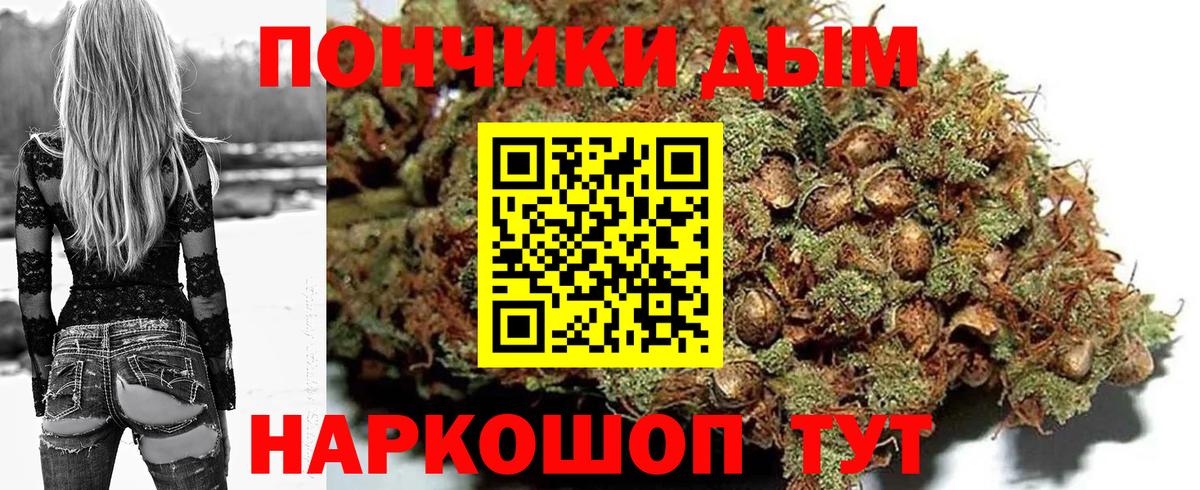 Канабис сатива Богданович