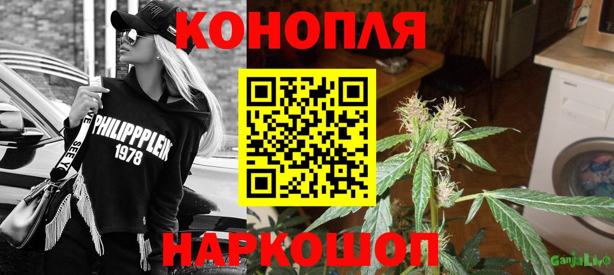 Шишки марихуана сатива  Каннабис SATIVA & INDICA  Конопля семена  Богданович  Конопля планчик 